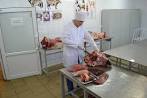 Лаборатория ветеринарно-санитарной экспертизы в Мучкапском